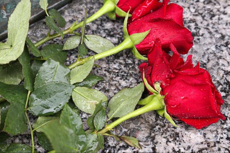    Сергей Булкин/NEWS.ru