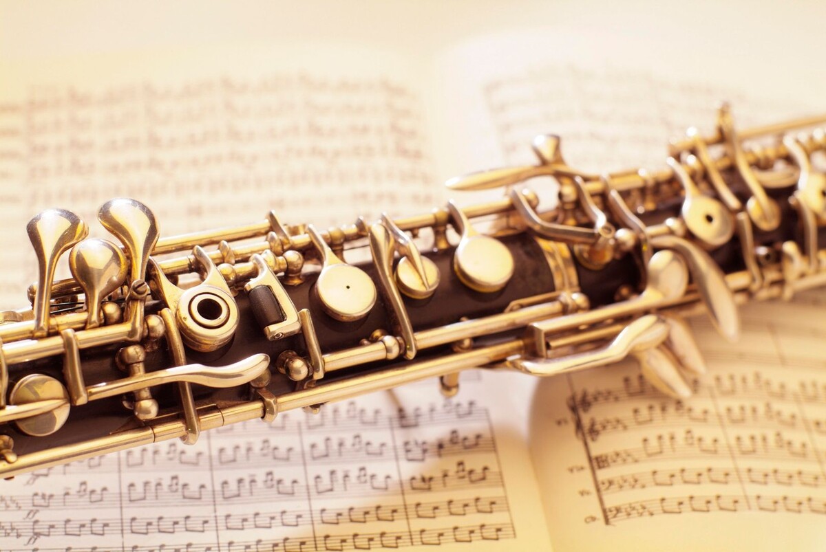     / Источник: © Artur Cupak/imageBROKER.com/Global Look Press