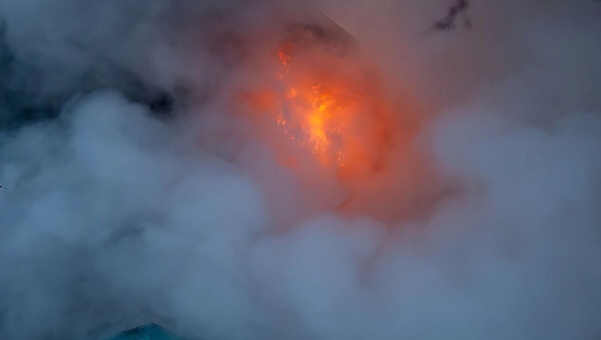     Источник: 1MI