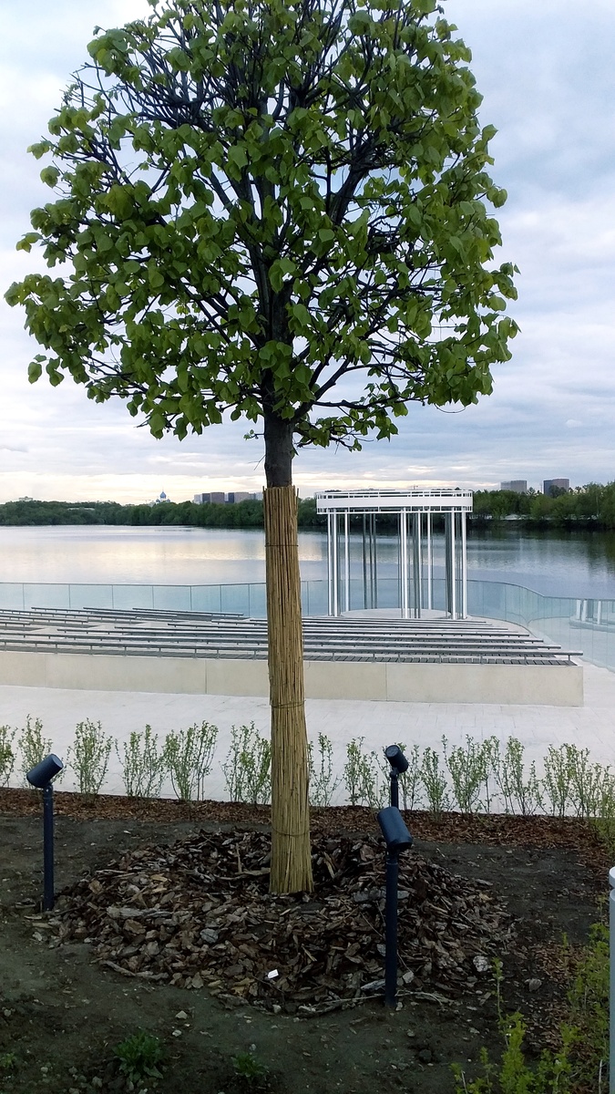 Все фото - автора.