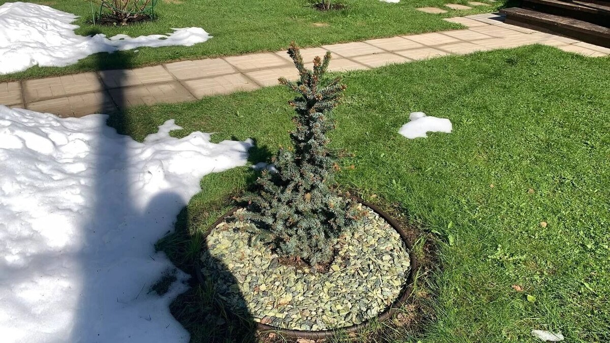 Погодные кульбиты продолжаются: какой будет погода на День Победы в Москве. Фото: Михаил Леус