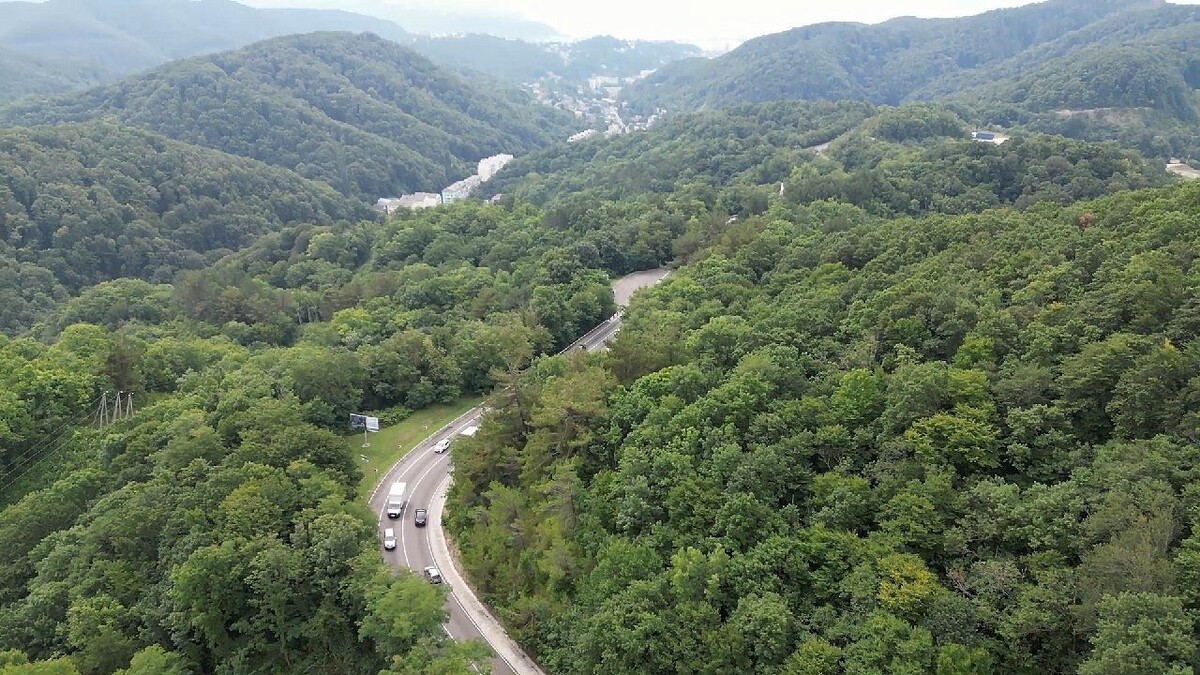    Фото: архив телеканала «Краснодар»