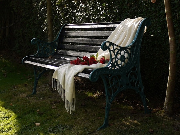 Фото из интернета