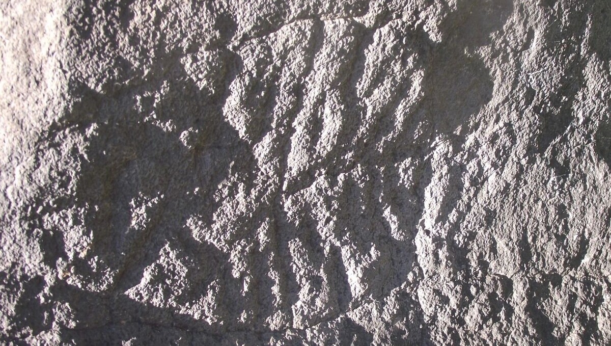     Источник: transsibinfo.com