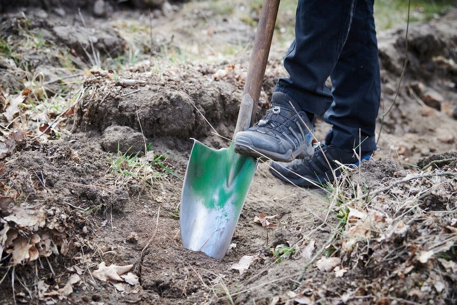     / Источник: © Annette Riedl/dpa/picture-alliance/ТАСС