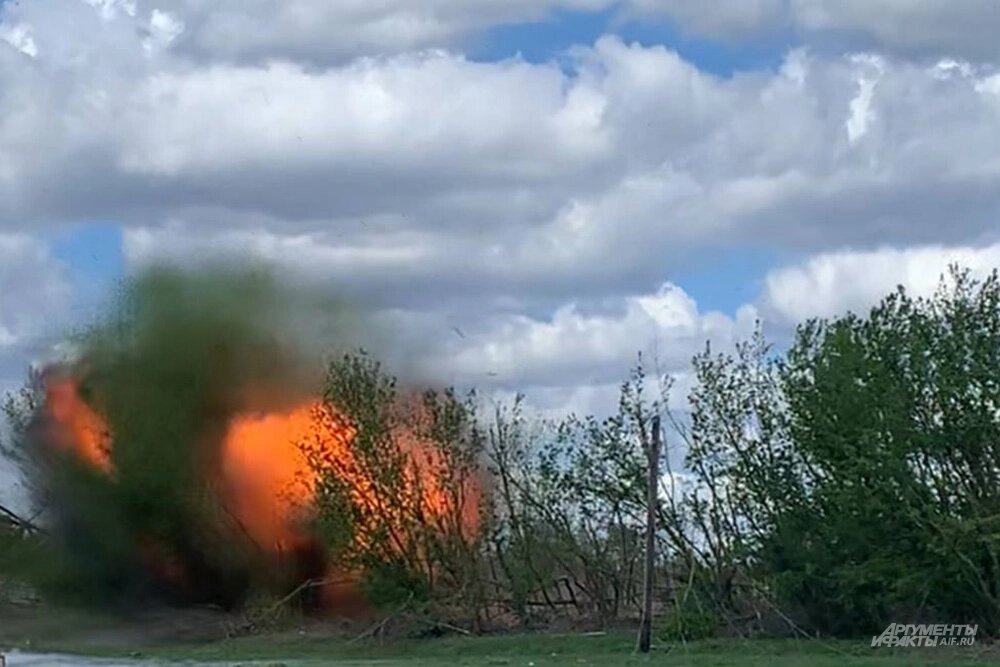    Фото:  АиФ/ Никита Сахаров