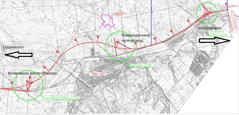    Фото: ТУАД Новосибирской области