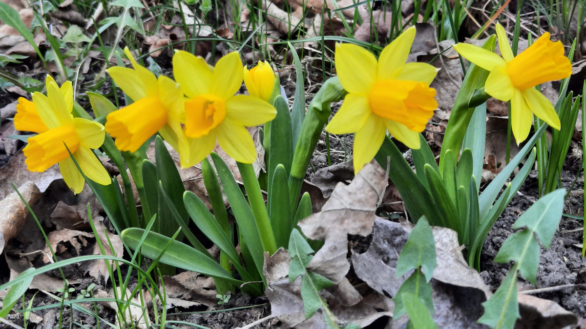 Фото автора. 6 мая 2025 г.