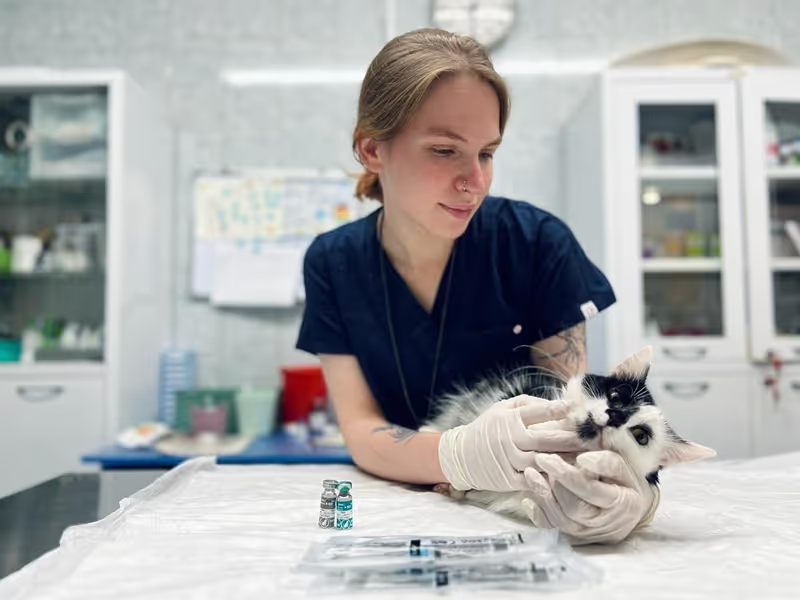 АНО «Приют для животных «Преданное сердце»