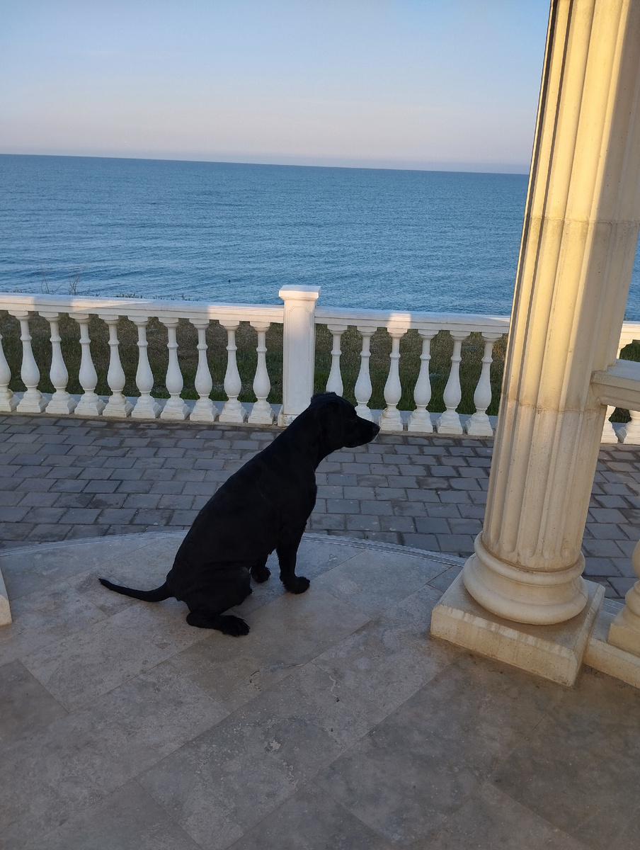 Как я соскучилась за морюшком!