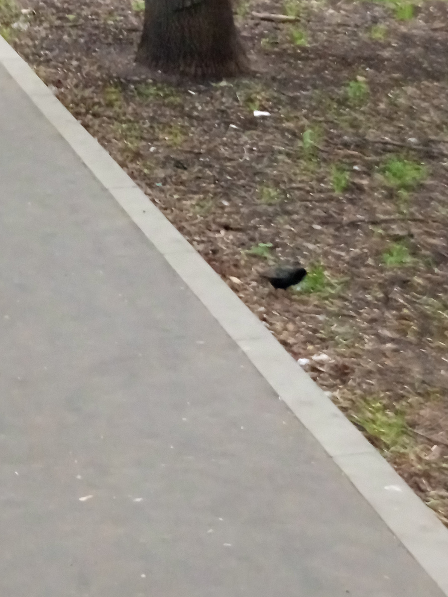 фото Сергея Петрова