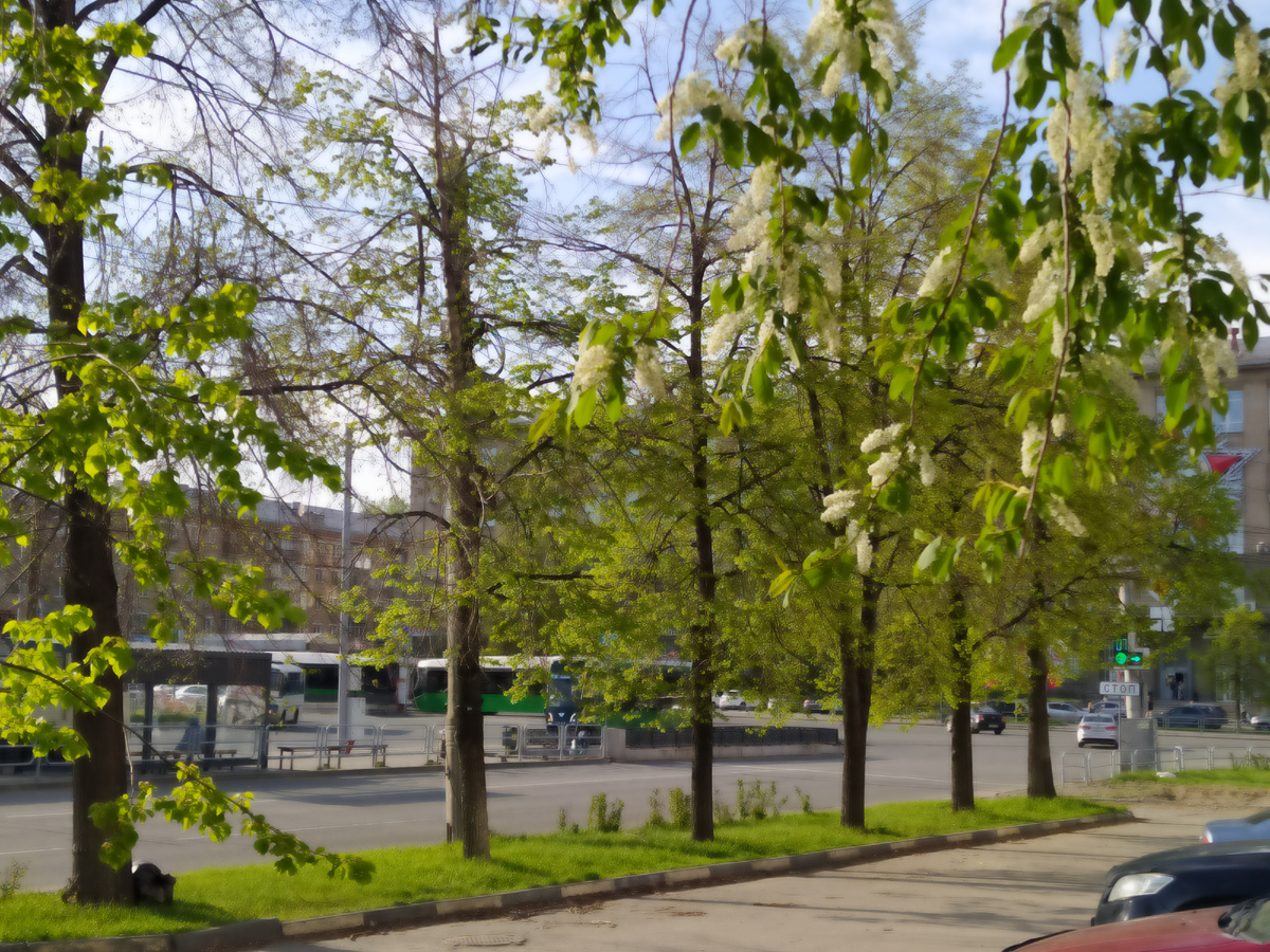 Фото автора. Улица Кирова