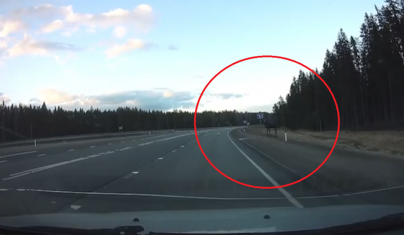    Соцсети: Лоси бросаются под колеса авто вблизи ПетрозаводскаКадр из видео / "КАРЕЛИЯ | ЧП ДТП" / VK