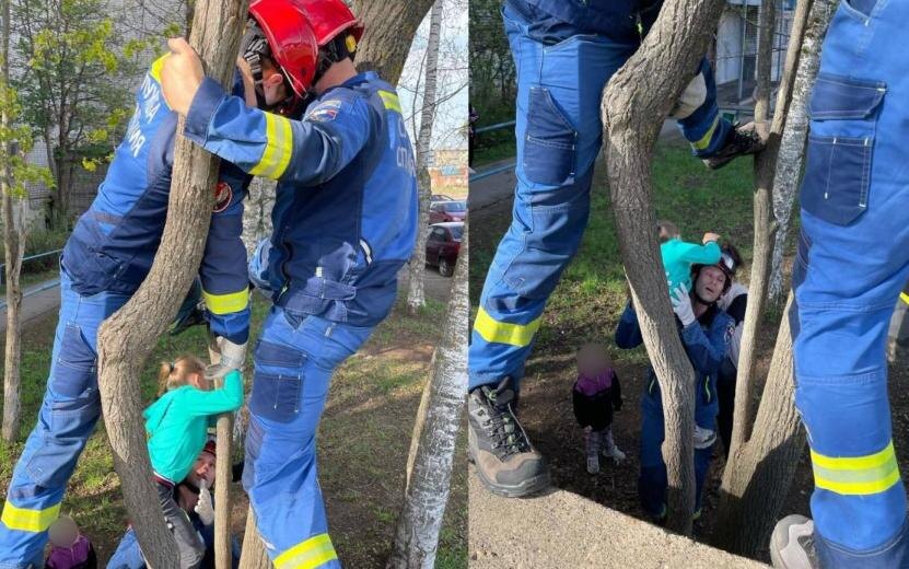    Застрявшую на дереве девочку спасли в Удмуртии