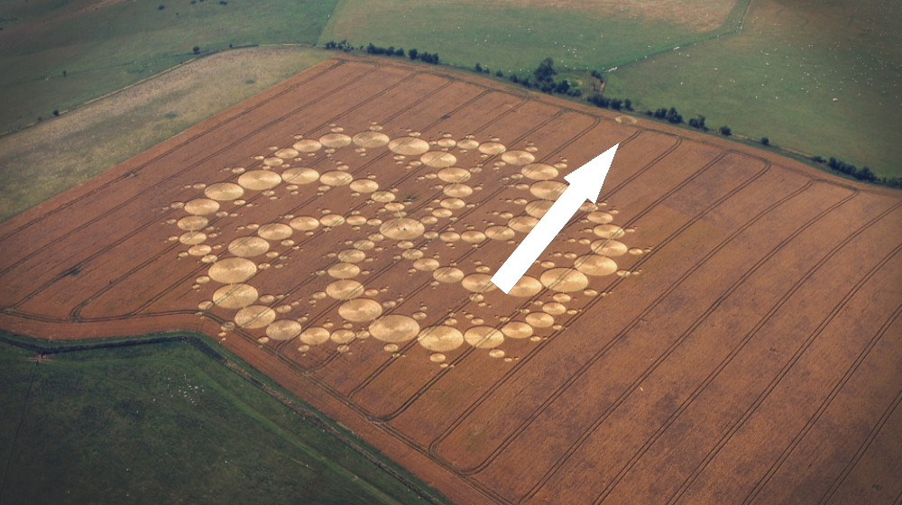    Загадочные круги под Краснодаром скрывают бинарный код и следы военных дронов