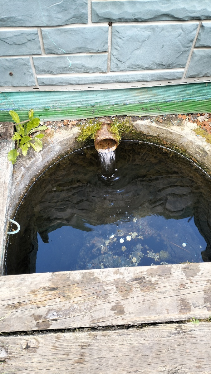 Фото прошлого года, в этот раз телефон с собой не взяла. 