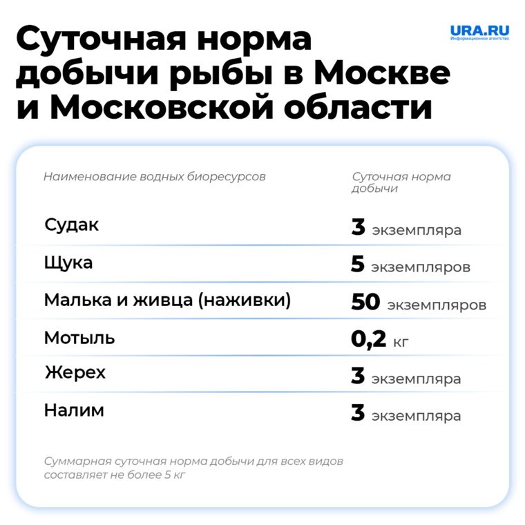 В Подмосковье можно поймать в сутки не более 5 кг рыбы. Фото: URA.RU