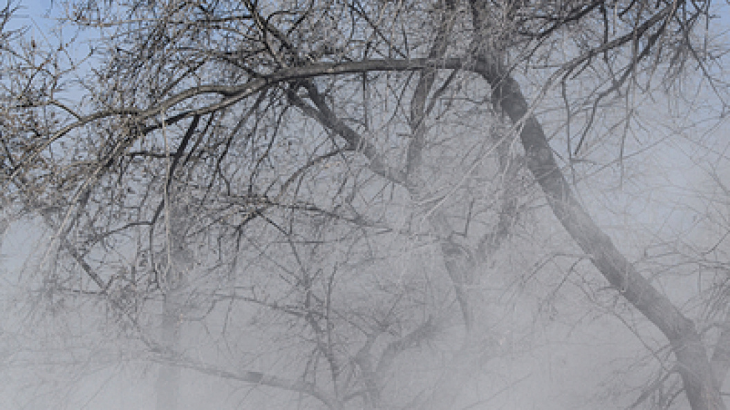    Ilya Moskovets/Globallookpress