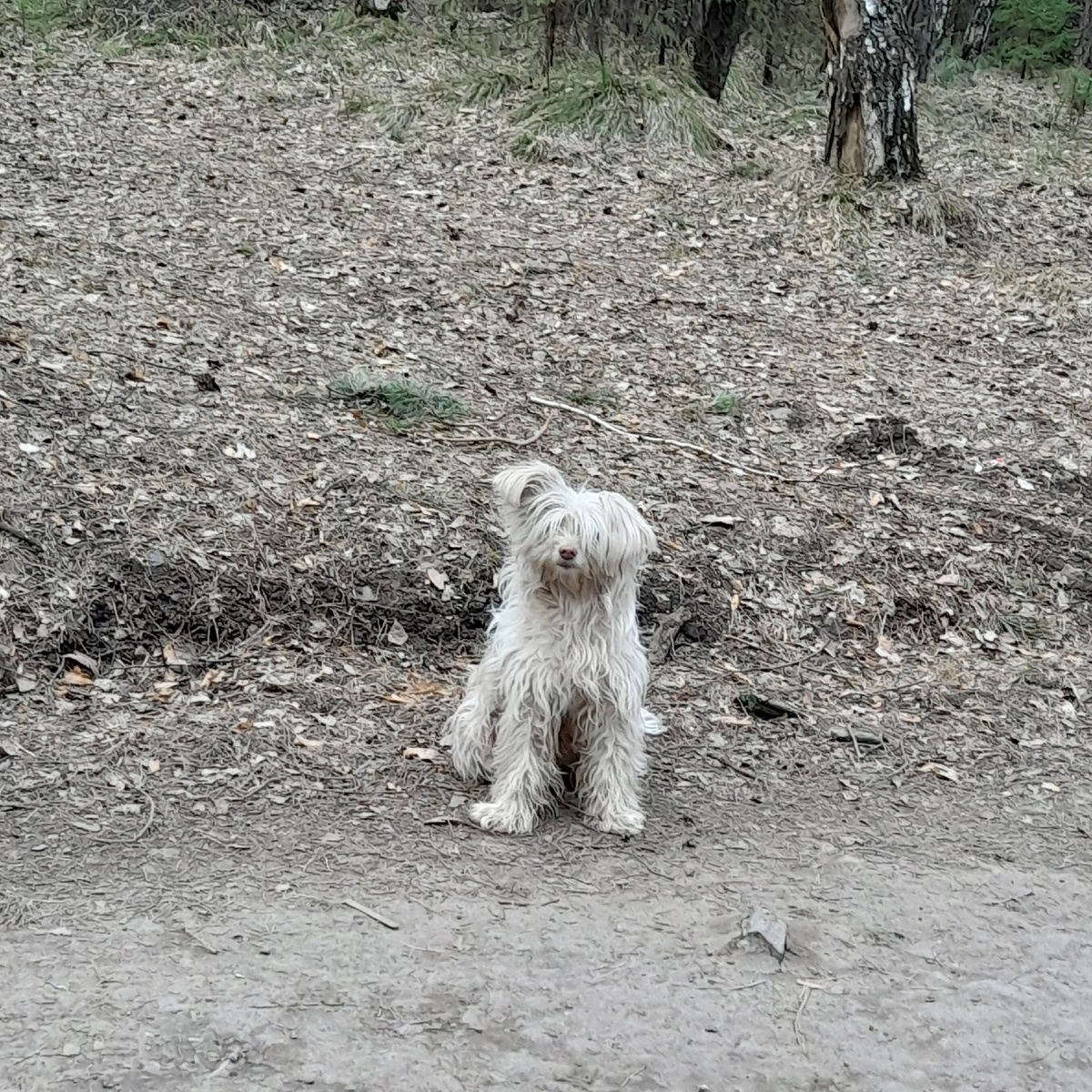 Фото автора.  Бросили?