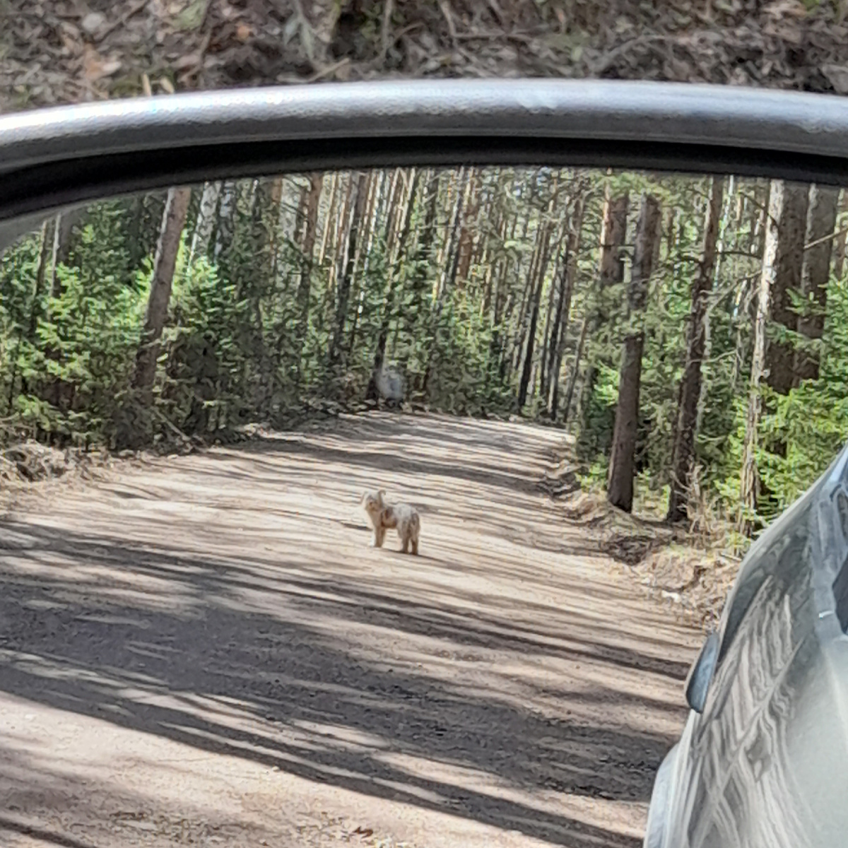Фото автора. Отстаньте со своим печеньем!
