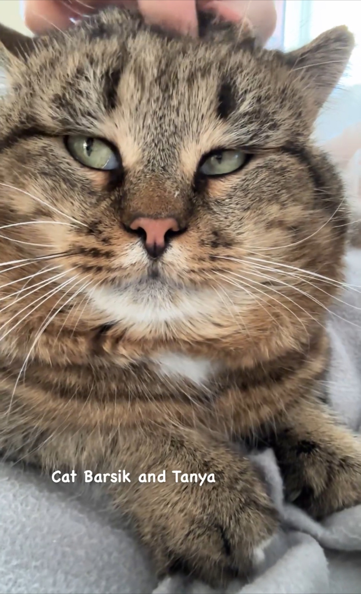 Барсюша любит массаж
