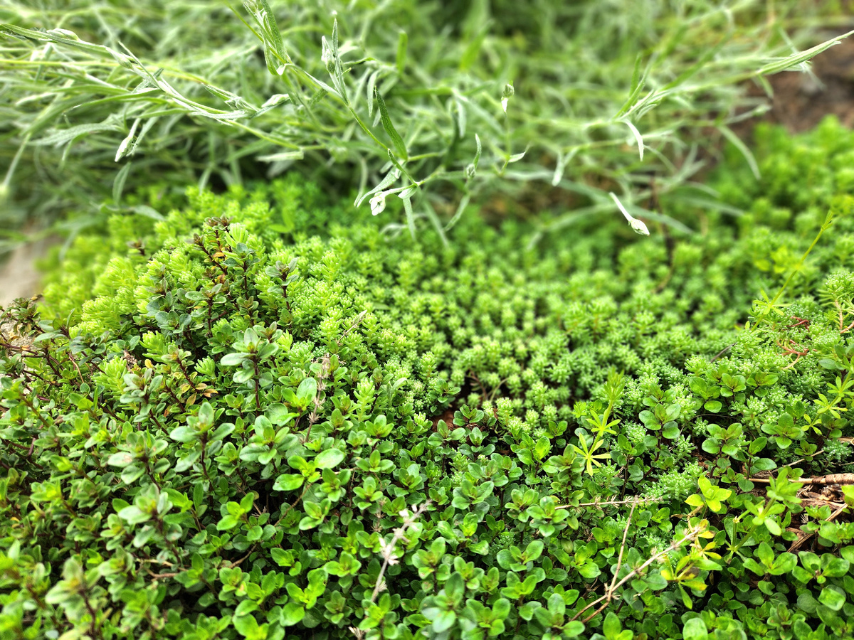 Текстуры😍