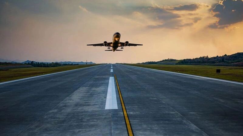    Фото: hxdyl/Shutterstock/Fotodom