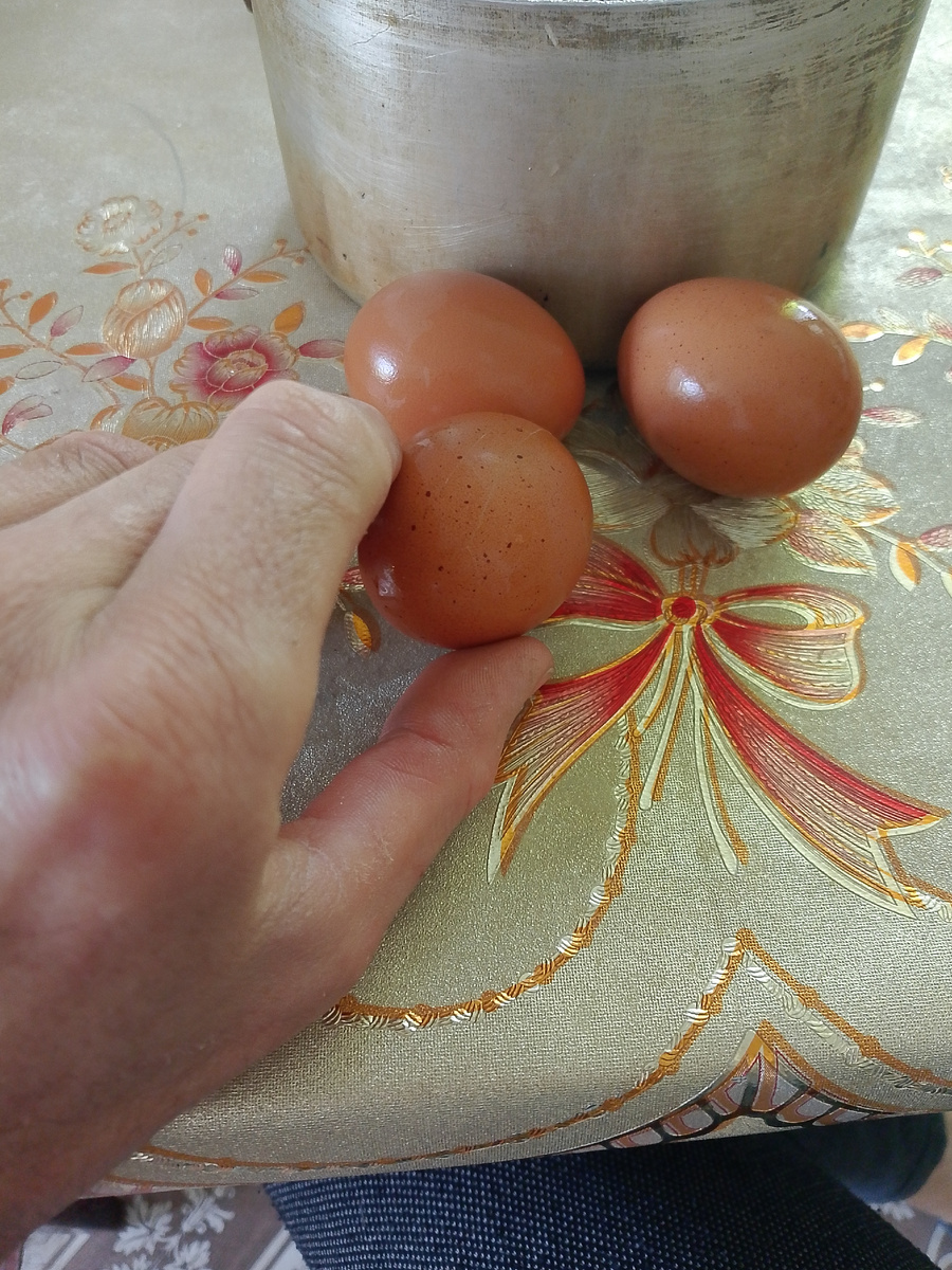 Я не привередлив в еде и многого не пробовал в жизни, требую мало