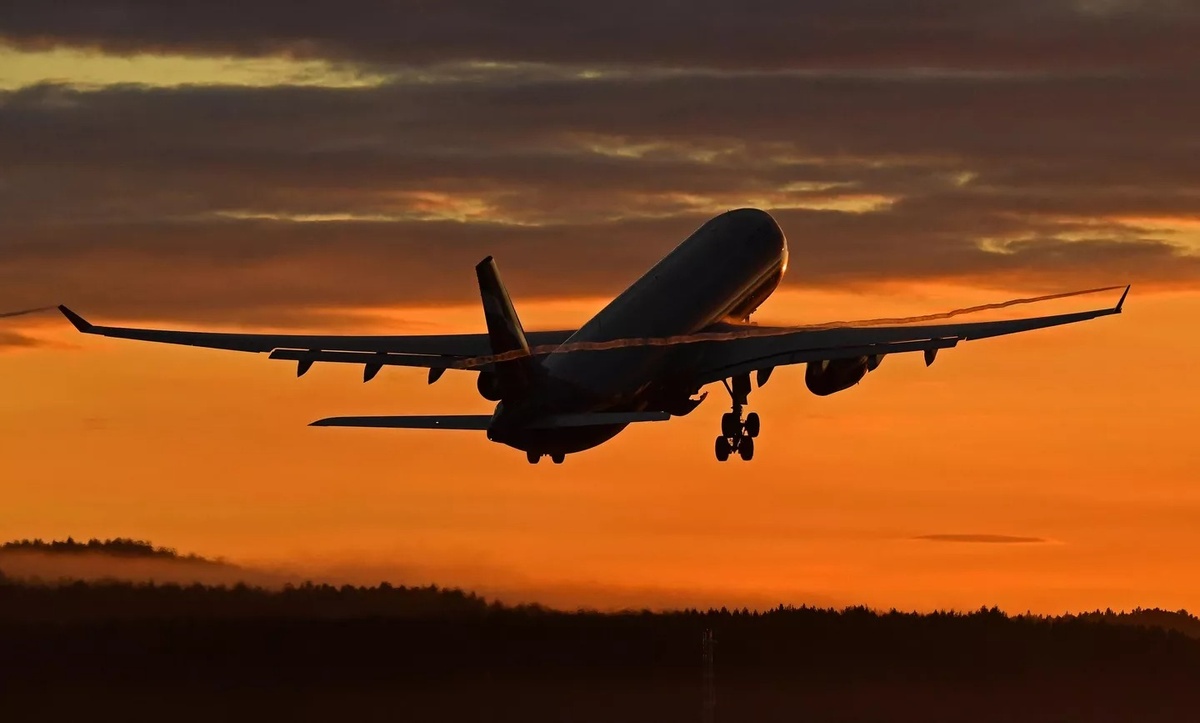 © Sputnik / Илья Наймушин