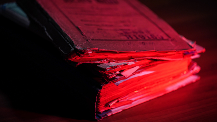    Фото: ИЗВЕСТИЯ/Сергей Лантюхов; 5-tv.ru