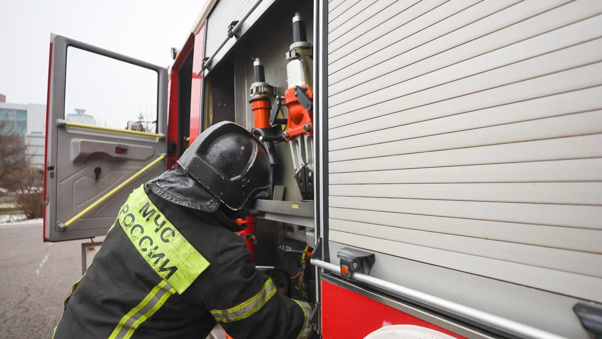    Фото: Belkin Alexey/news.ru/globallookpress.com