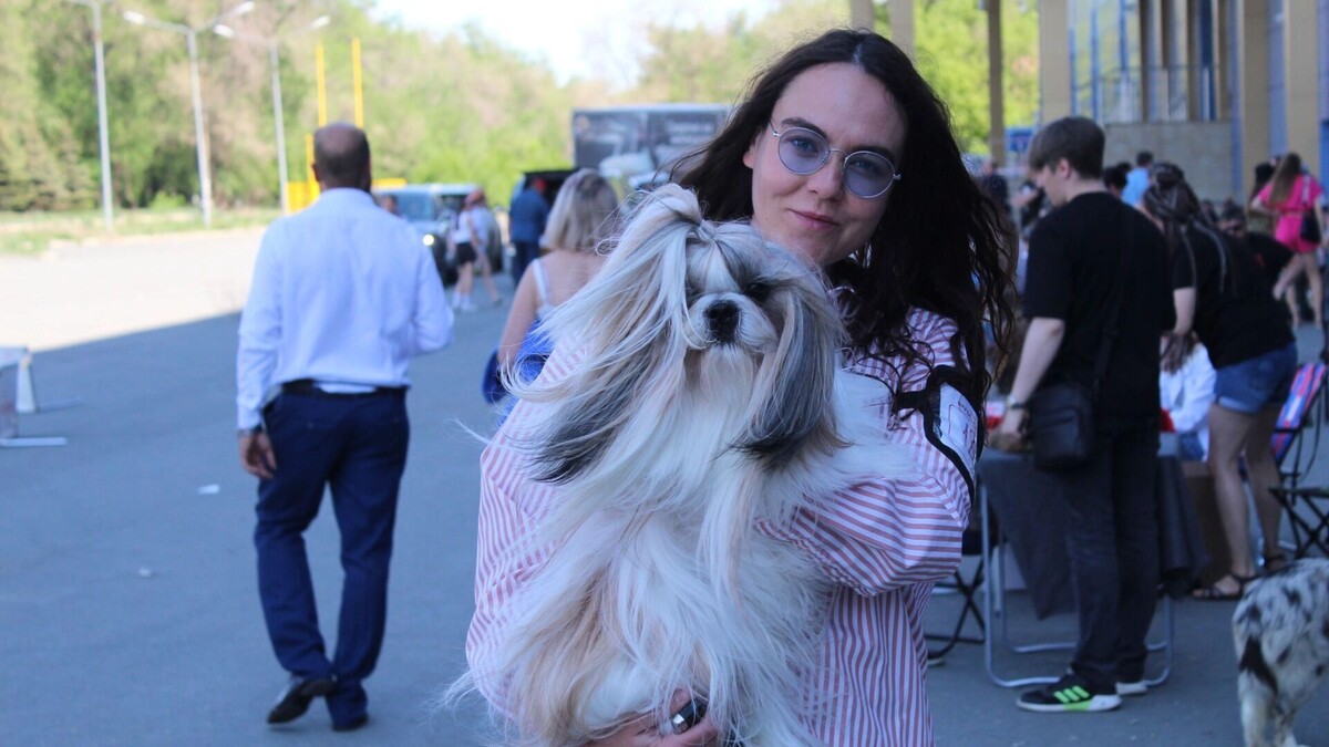     Источник: 1MI