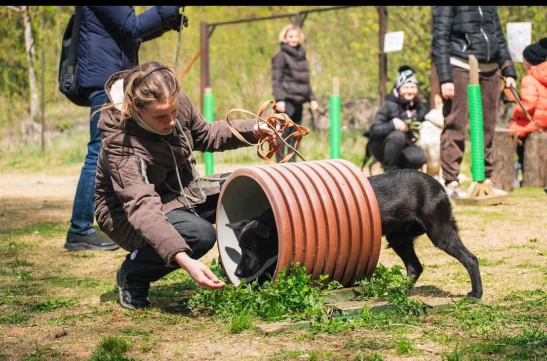 Занятия в приюте. Фотограф Анна Диденко