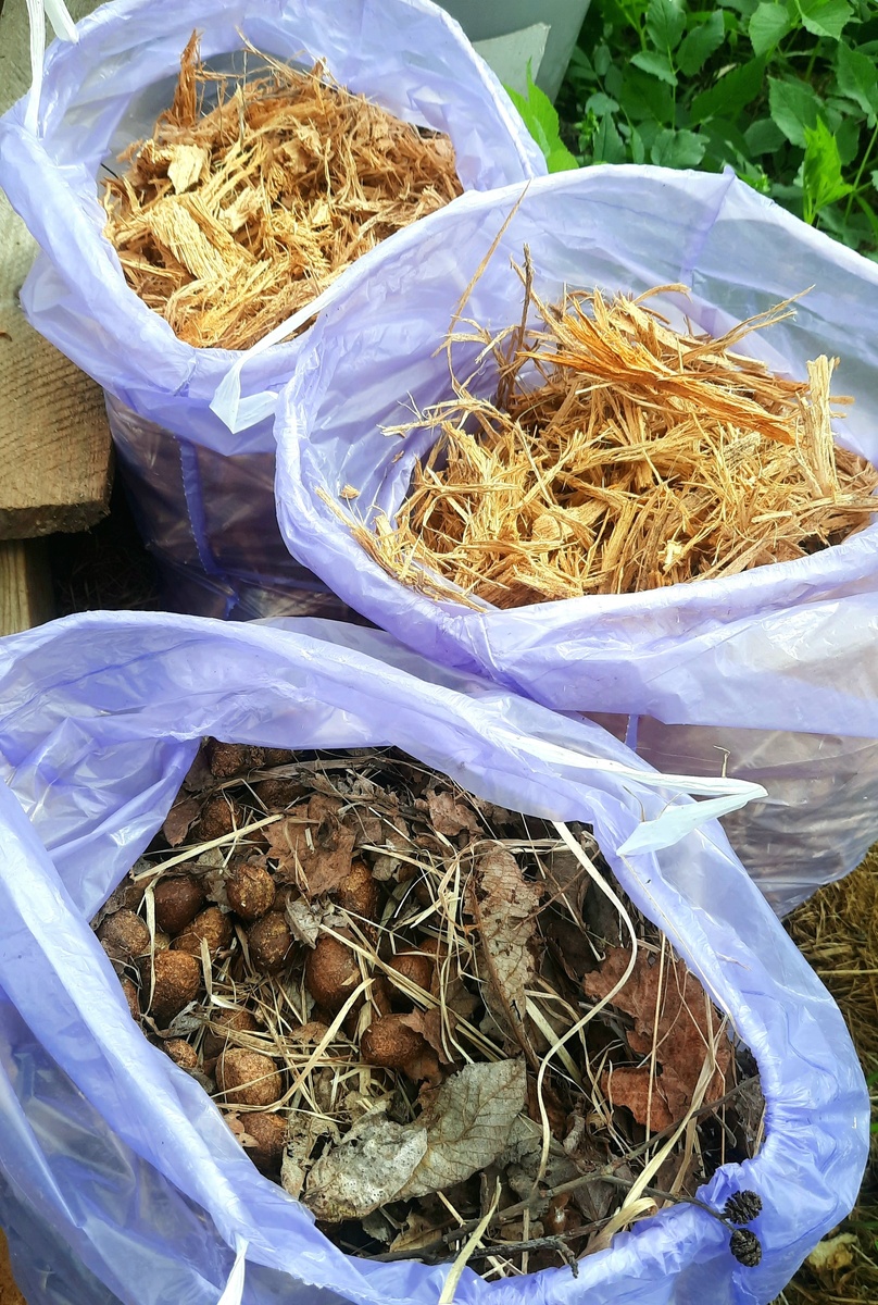 Фото автора. Природные гранулы. Говорят, в продаже он 1000 рублей за 1 кг.