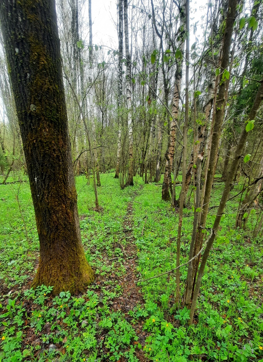 Фото автора.
