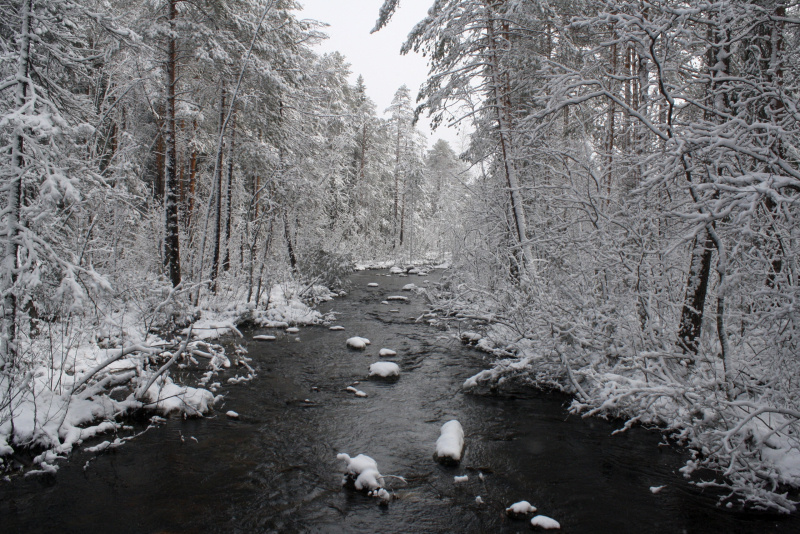    Карелию заваливает снегом"Север – судьба моя" / VK