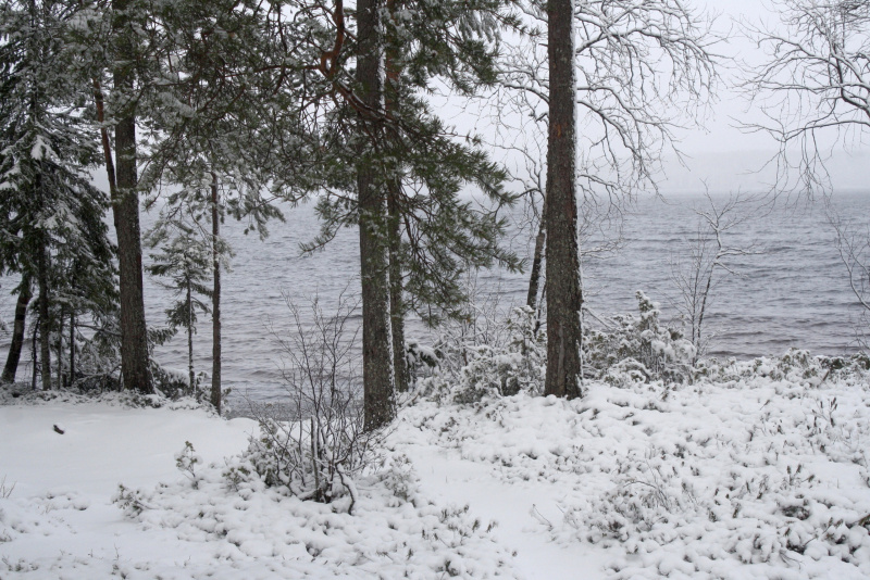    Карелию заваливает снегом"Север – судьба моя" / VK