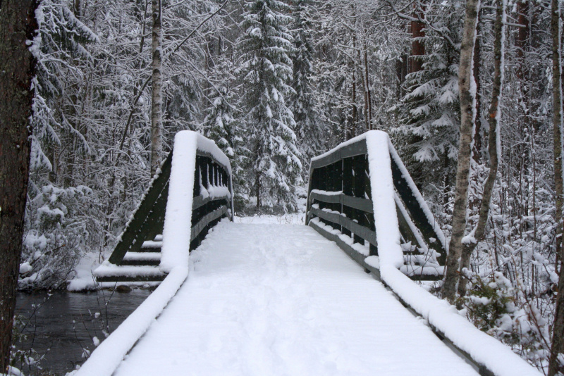    Карелию заваливает снегом"Север – судьба моя" / VK