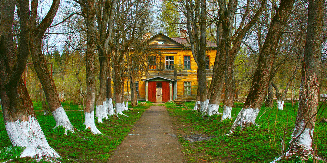 Новогодняя "трагедия"