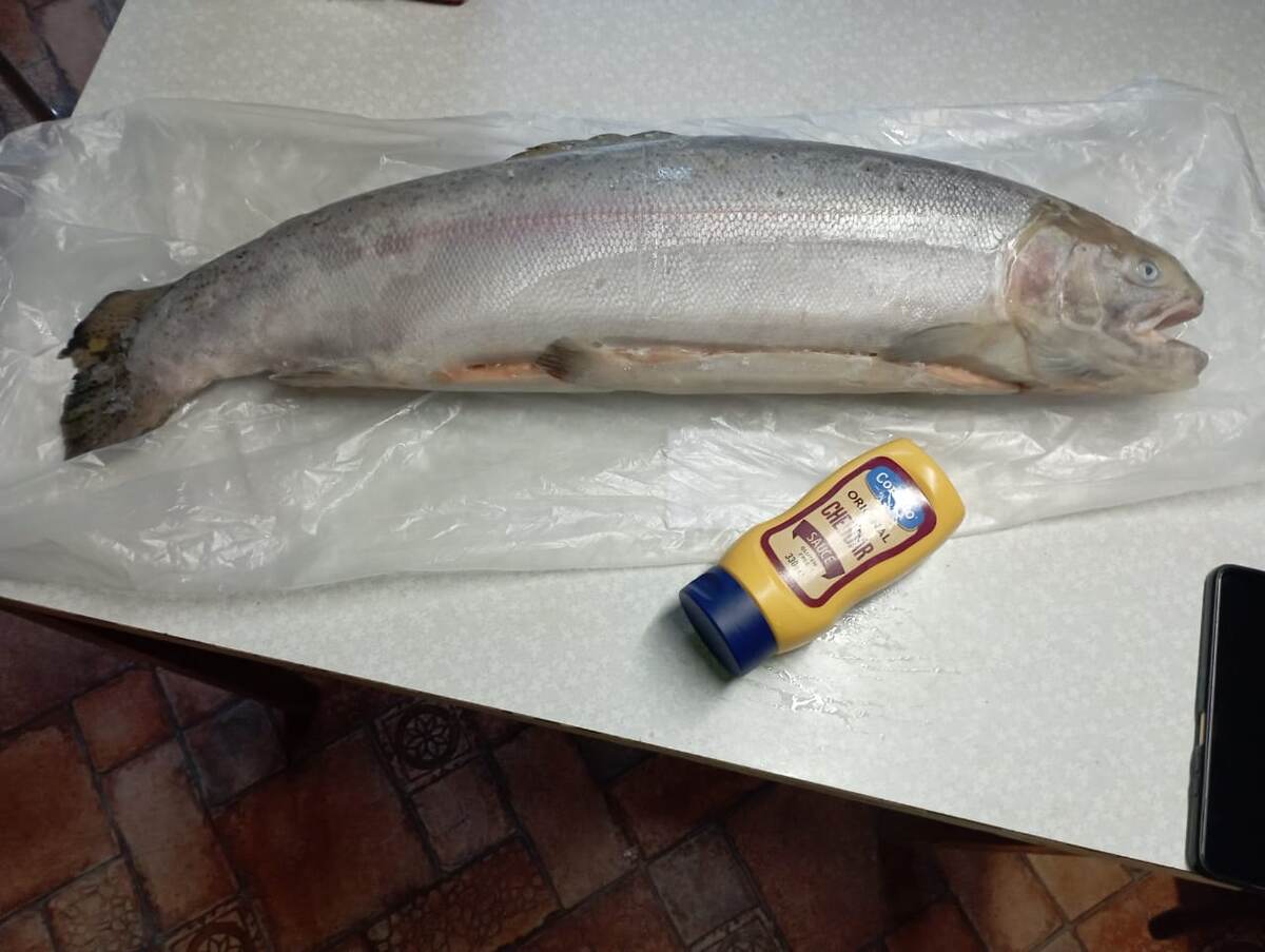 Это мурманская красотка на 6 кг. Пока, самая вкусная рыбка, которую я ела. Сырный соус для понимания размеров. Естественно, лучшая реклама – личные отзывы, поэтому фотографировала все, что покупала себе и готовила.