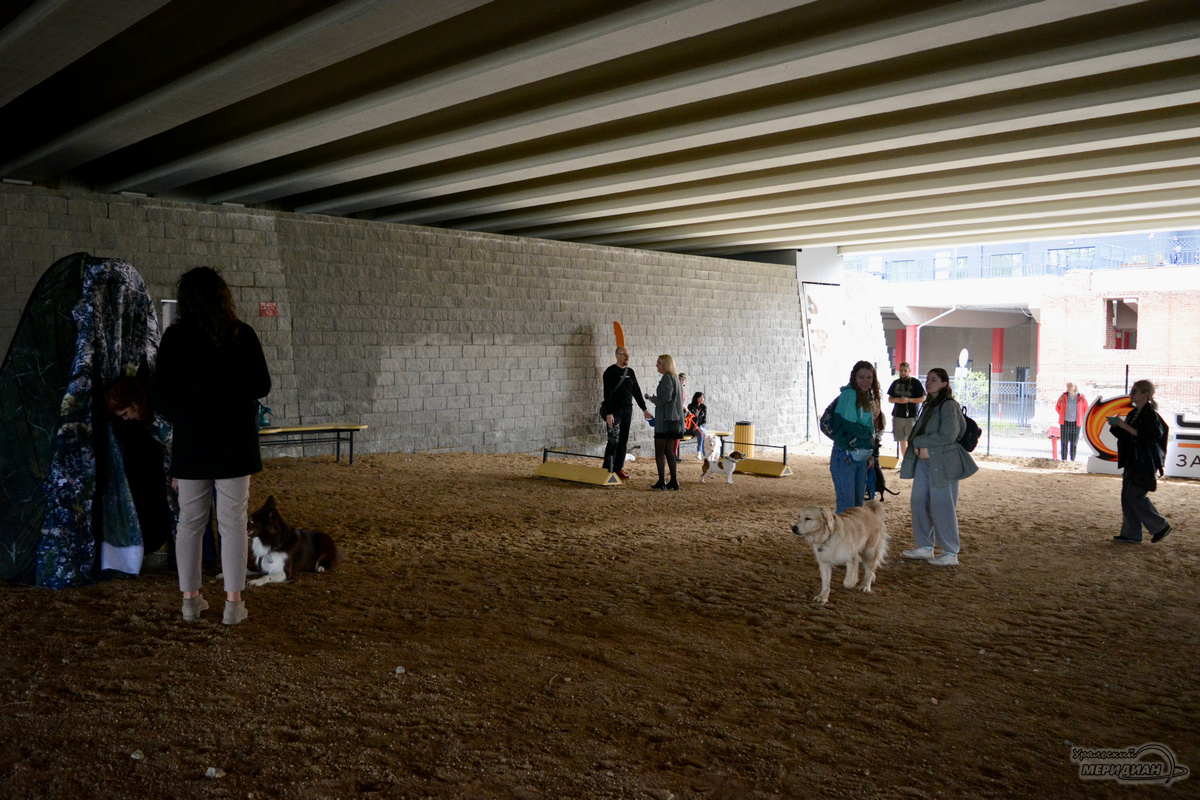    Фото: Галина Ниценкова © ИА «Уральский меридиан»