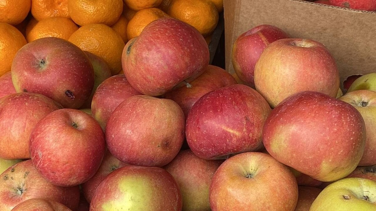    Фото: телеканал «Краснодар»