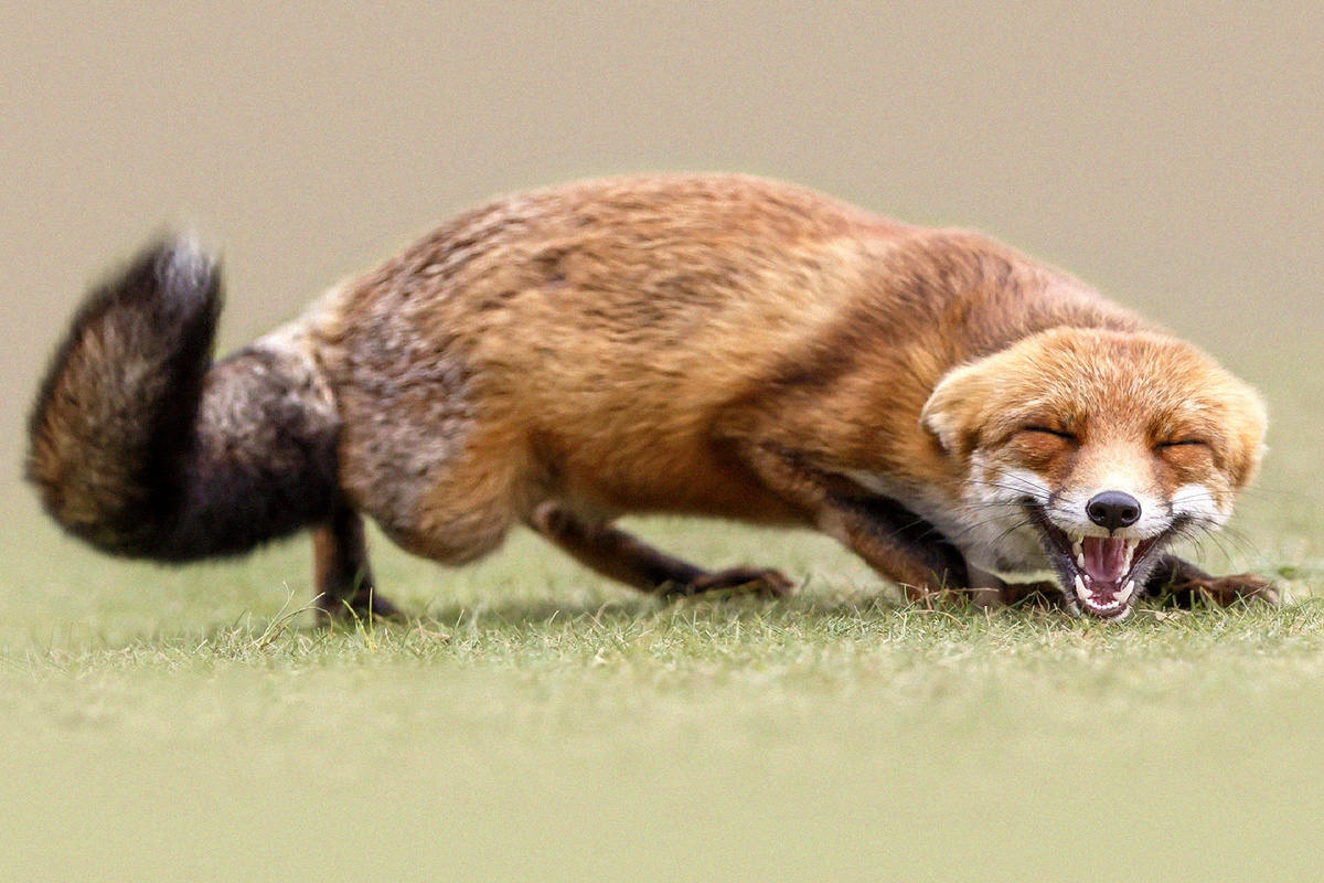 Изображение взято из открытого источника