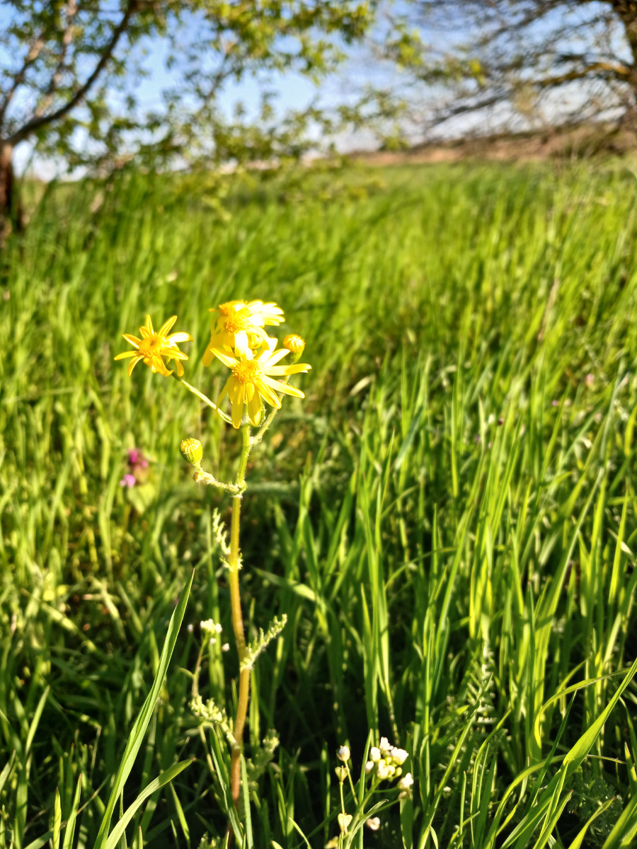 Природа даст возможность переключиться