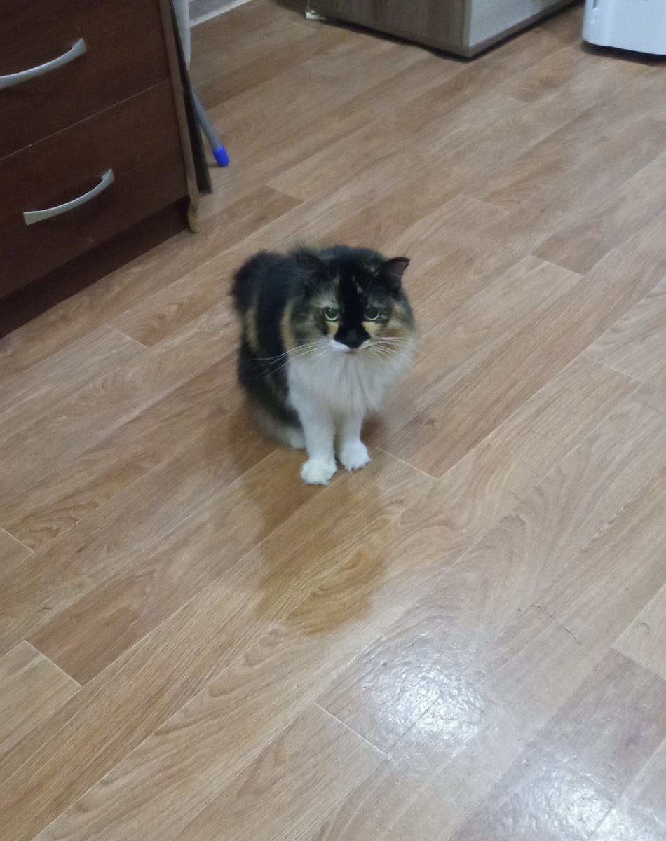 Нашла Катькину хмурую фотку в тему моего настроения 😀