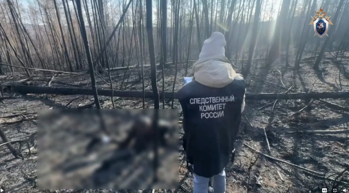 Сгоревшие тела заблюрили уже журналисты, чтобы не стать фигурантами уголовного дела / Скриншот: телеграм-канал Следком75