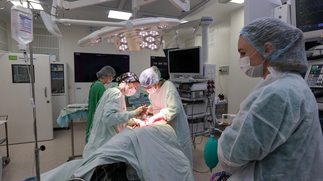    Фото: Belkin Alexey/ Global Look Press