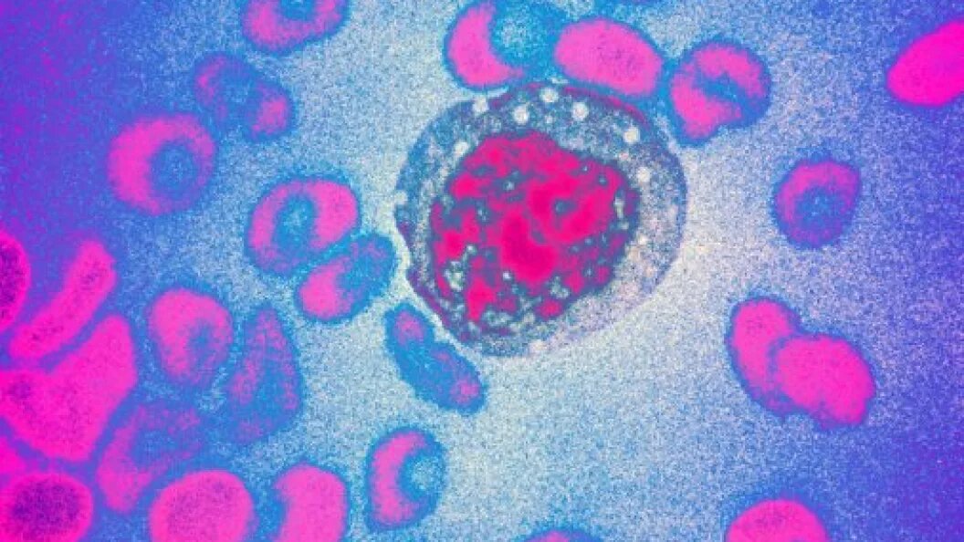    фото: Globallookpress