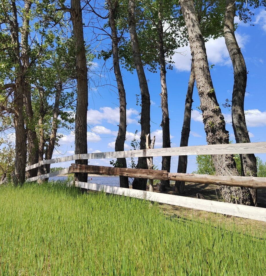 Май – особенное время, когда природа расцветает во всей красоте и силе. У этого месяца тёплая и благодатная энергетика, которая даёт возможность для глубокого внутреннего преображения. И традиционно в мае возвращается один из самых эффективных и моих любимых способов наполнения и возвращения в тело – контакт с землёй, заземление.