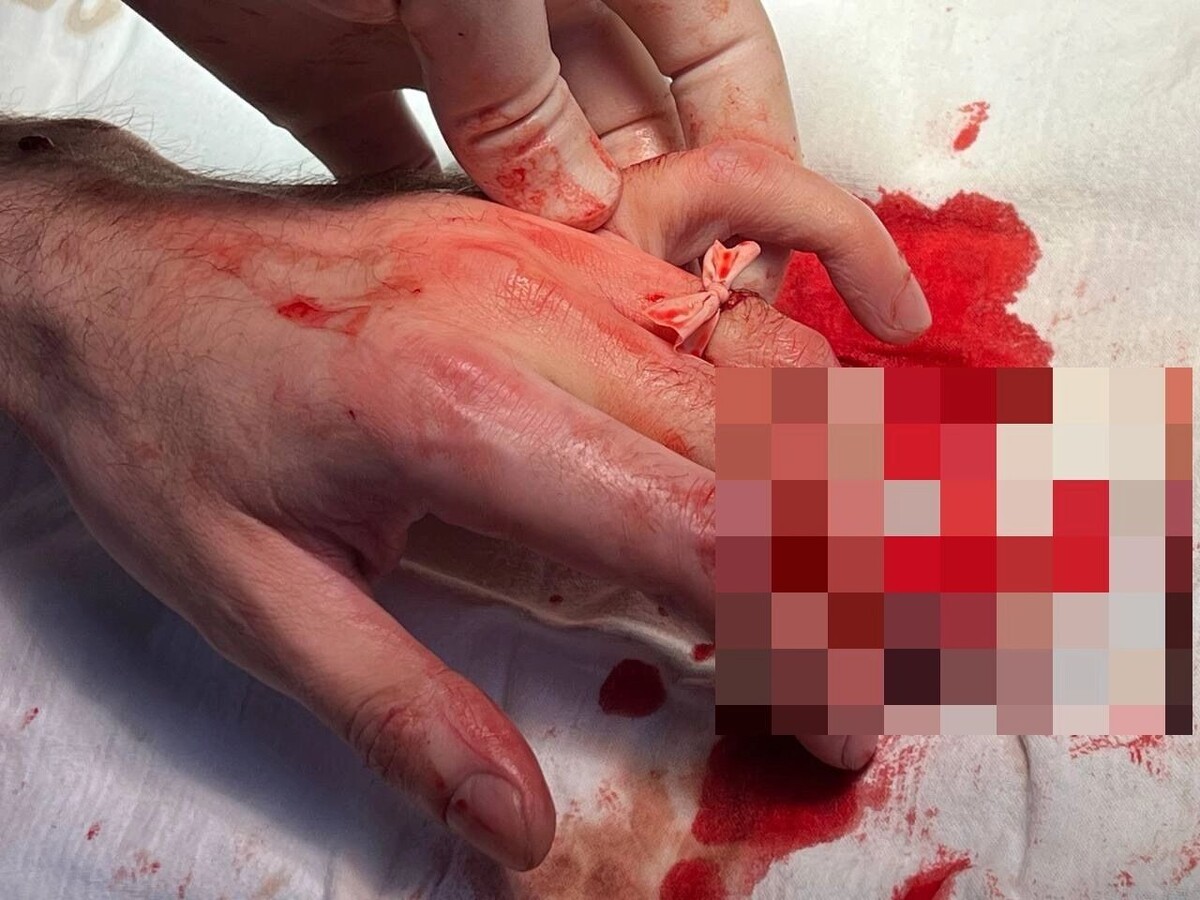     Источник: Оксана Пшеницкая